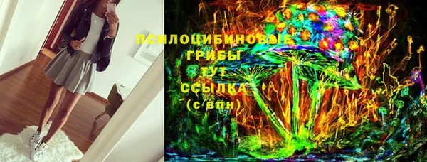 ПСИЛОЦИБИНОВЫЕ ГРИБЫ Слюдянка