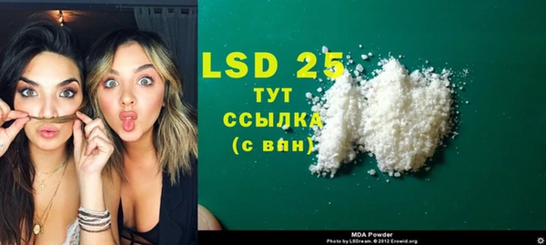 ПСИЛОЦИБИНОВЫЕ ГРИБЫ Слюдянка