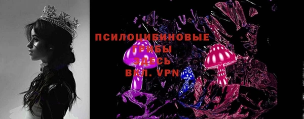 ПСИЛОЦИБИНОВЫЕ ГРИБЫ Слюдянка