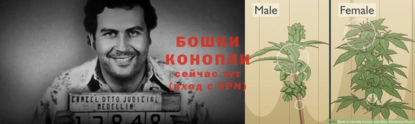 ПСИЛОЦИБИНОВЫЕ ГРИБЫ Слюдянка