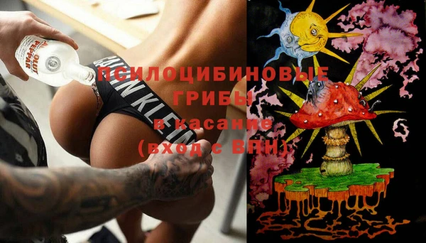ПСИЛОЦИБИНОВЫЕ ГРИБЫ Слюдянка