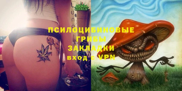 тгк Бугульма