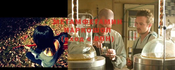 ПСИЛОЦИБИНОВЫЕ ГРИБЫ Слюдянка