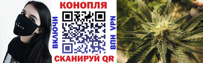 Бошки Шишки конопля дарнет шоп MEGA ссылка Северская